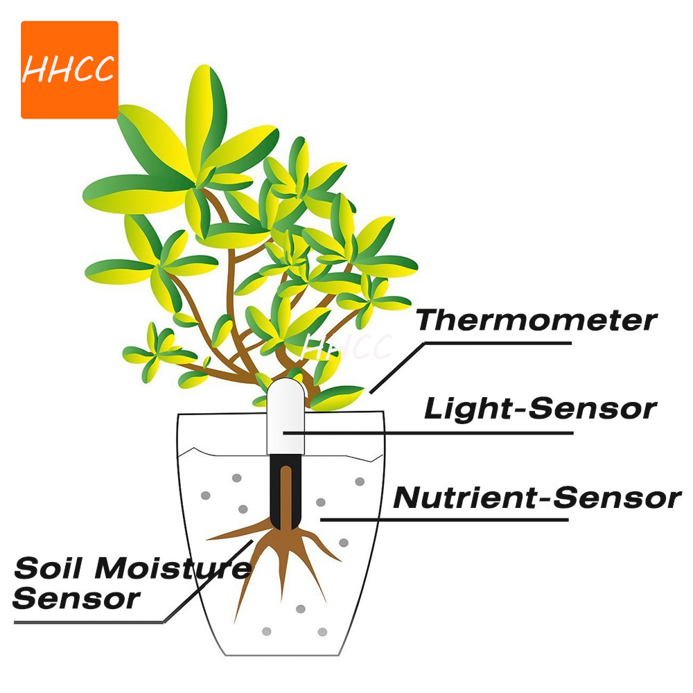 HHCC Smart Flower Monitor Flor - Smart Garden Xiaomi review and price