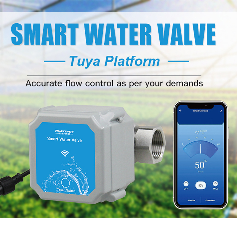Tuya Zigbee Or Wifi Intelligen - Smart Garden Gate review and price