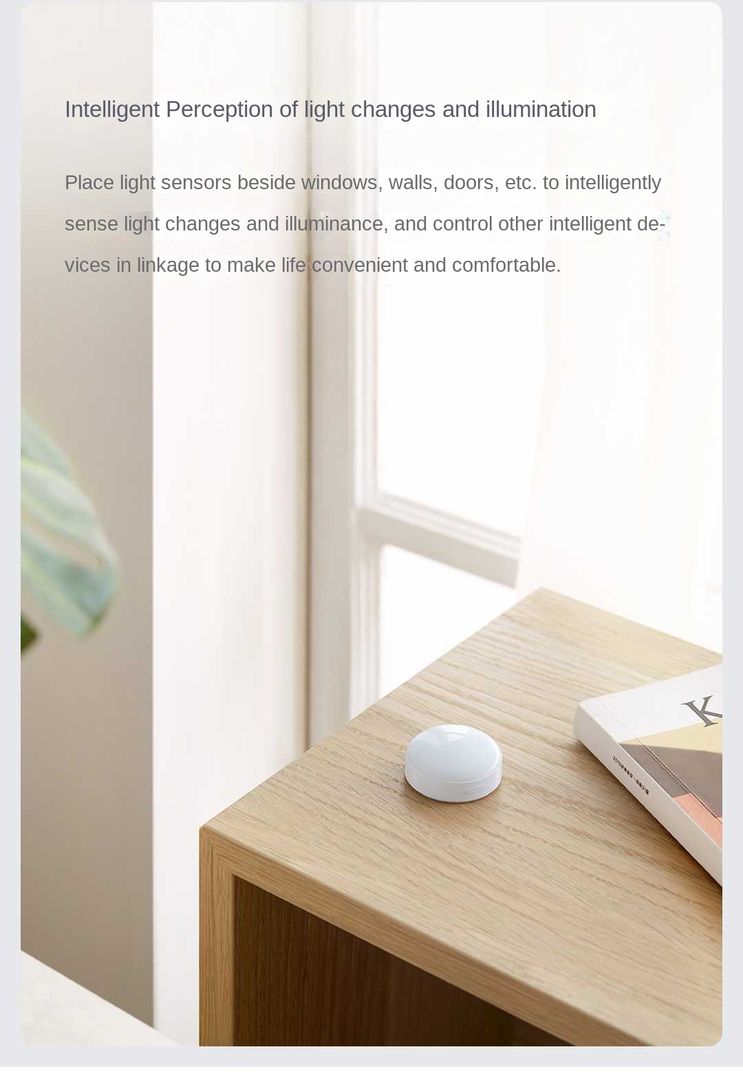 Aqara Light sensor T1 Zigbee 3 - Smart Garden Xiaomi review and price