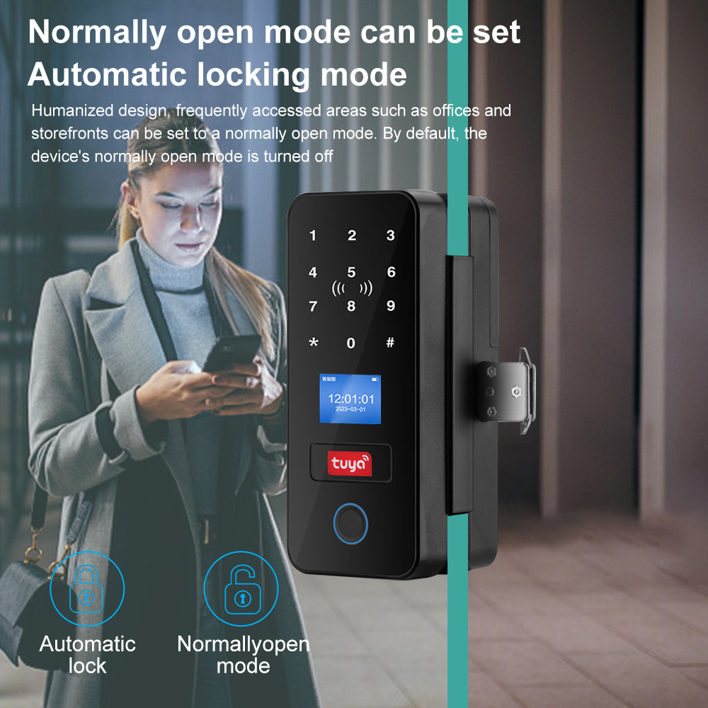 Double Hook Smart Glass Door L - Smart Garden Door Lock review and price