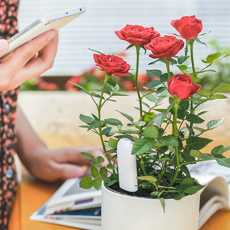 HHCC Flower Monitor Flora Gard - Smart Garden Xiaomi review and price