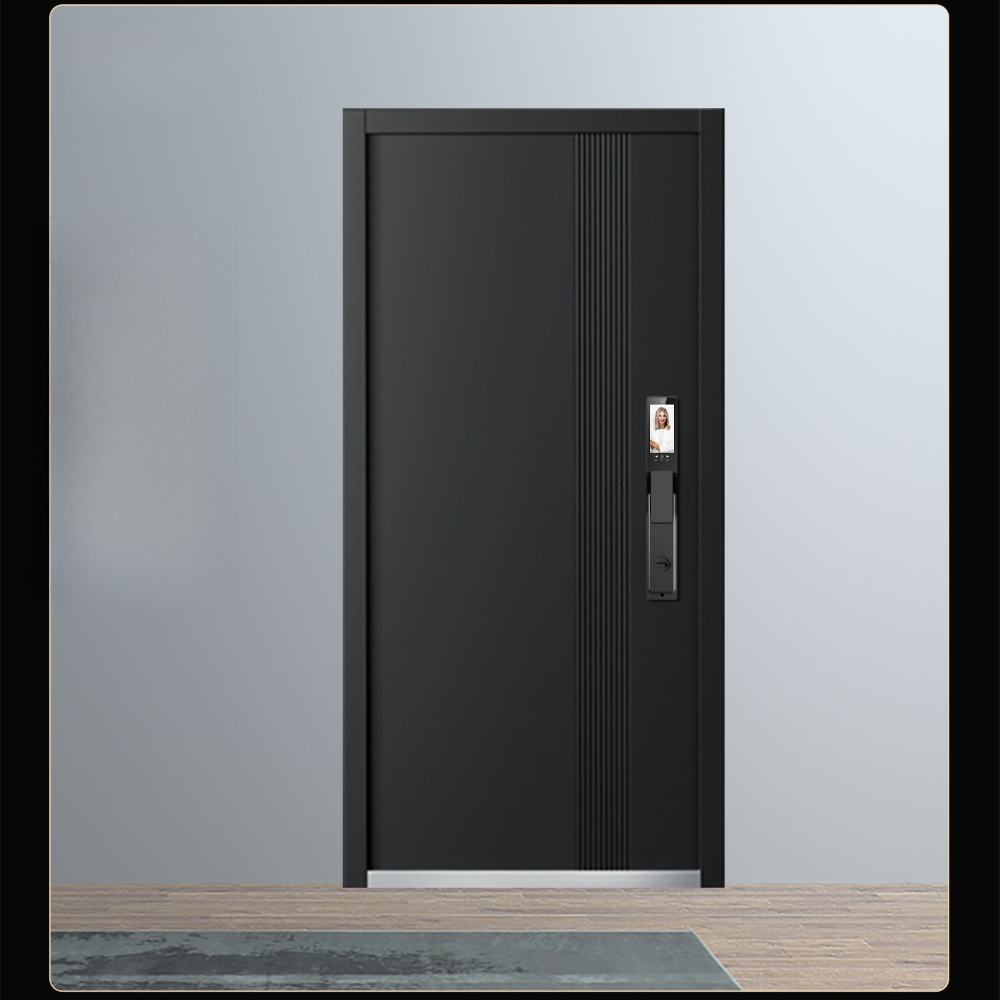 Factory Direct 2026 Customized - Smart Garden Door Lock review and price