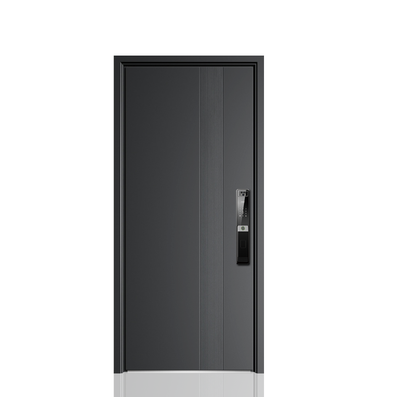 Factory Direct 2026 Customized - Smart Garden Door Lock review and price