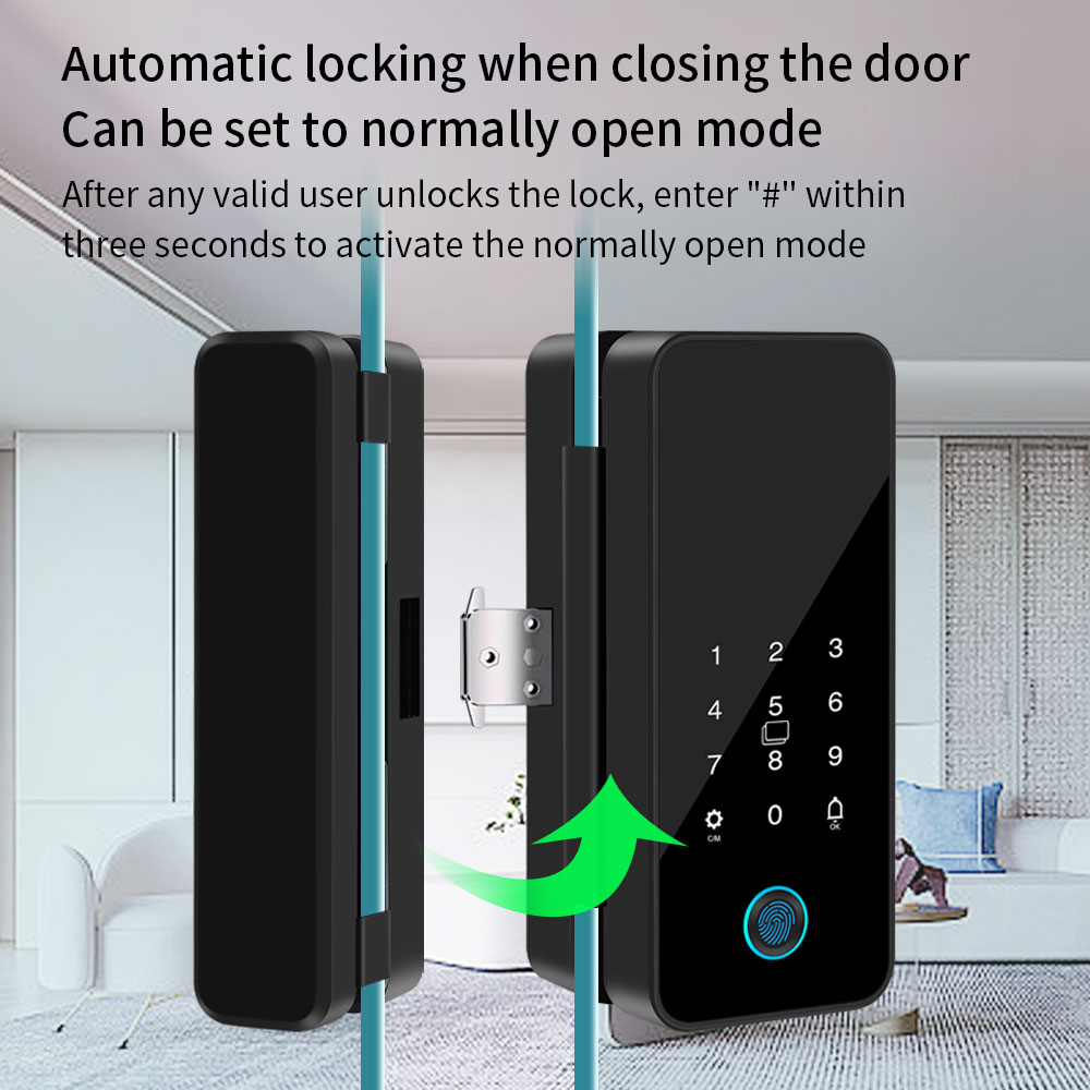 Tuya Smart Life Bluetooth Glas - Smart Garden Door Lock review and price