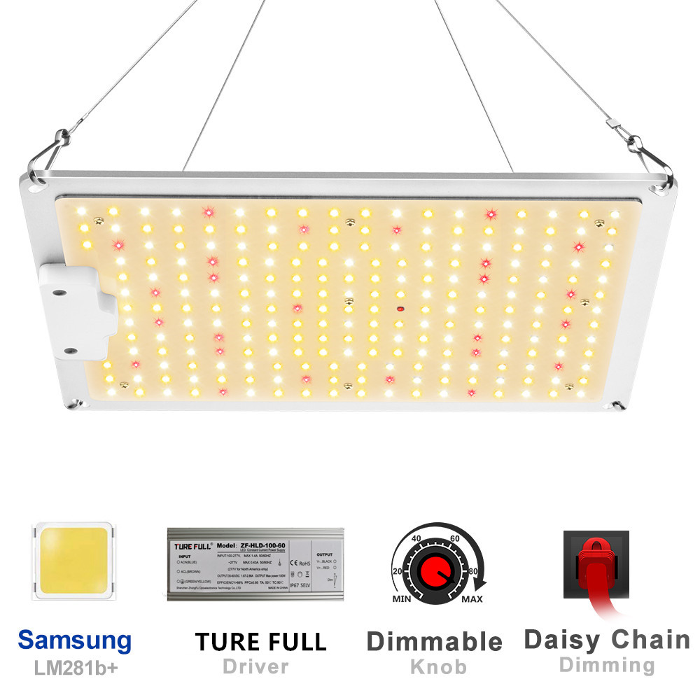 Grow Tent Growbox Hydroponics  - Grow Tent Complete Kit review and price
