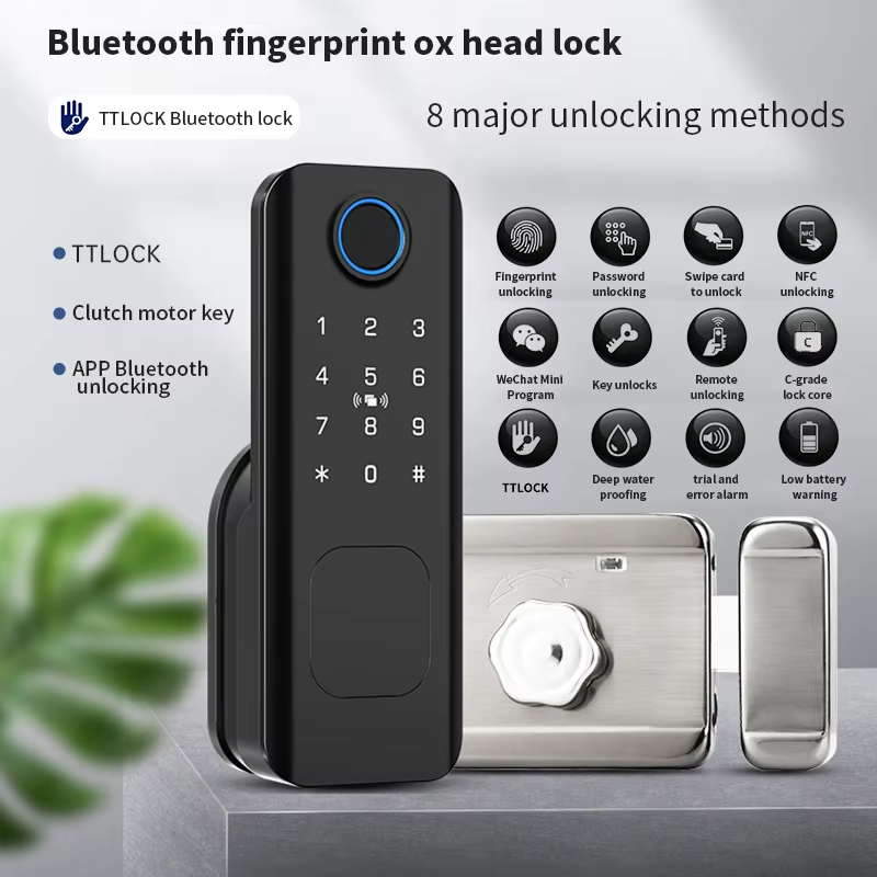 Beginnerr Tuya Ttlock Outdoor  - Smart Garden Door Lock review and price