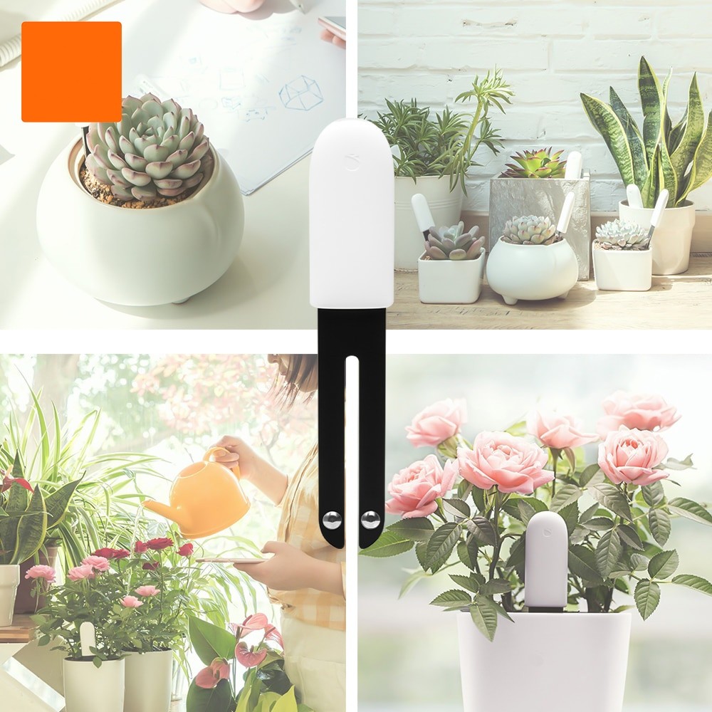 HHCC Smart Flower Flora Monito - Smart Garden Xiaomi review and price