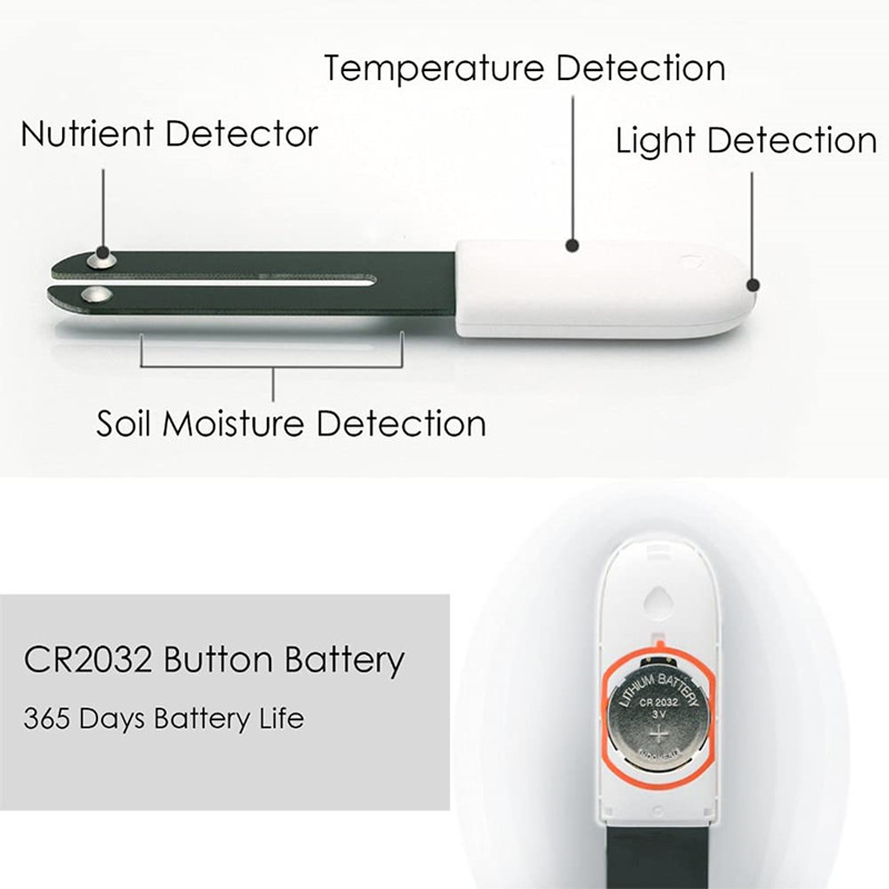 HHCC Flower Monitor Flora Gard - Smart Garden Xiaomi review and price