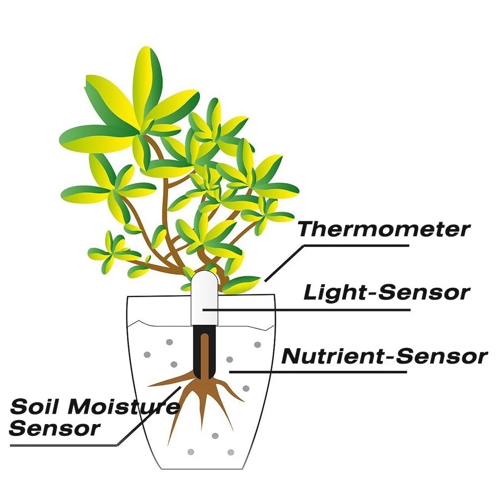 HHCC Flower Monitor Flora Gard - Smart Garden Xiaomi review and price
