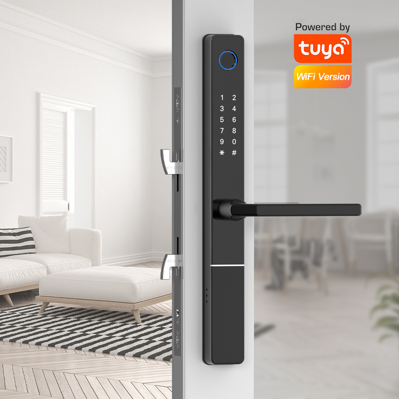 Euro 92/85/72mm Tuya wifi Smar - Smart Garden Door Lock review and price